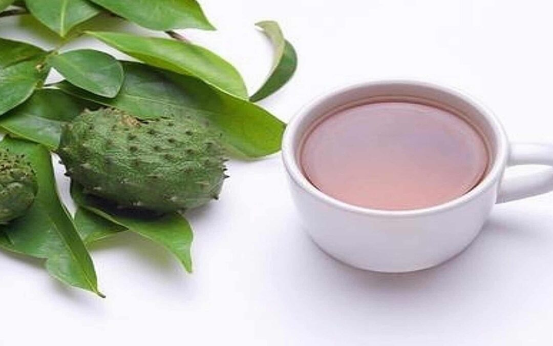 Eye-Opening Facts No One Will Tell You About Soursop Tea