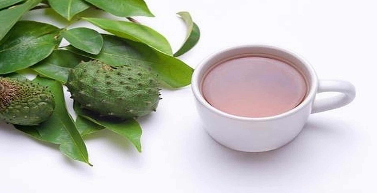 EyeOpening Facts No One Will Tell You About Soursop Tea HealthxTips
