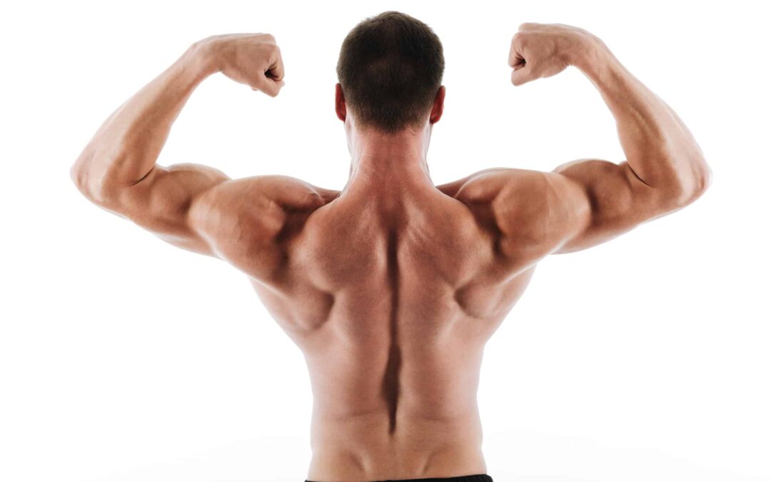 The Best Lat Exercises You Must Try